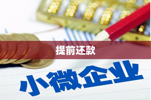 南化提前还款