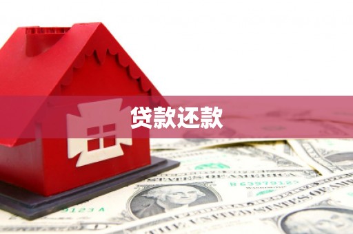 南化贷款还款