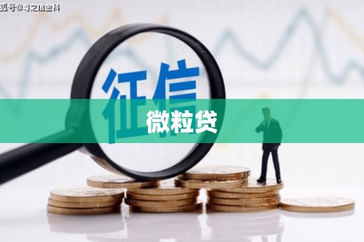 南化微粒贷