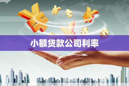 南化小额贷款公司利率