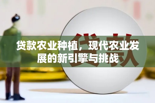 南化贷款农业种植，现代农业发展的新引擎与挑战