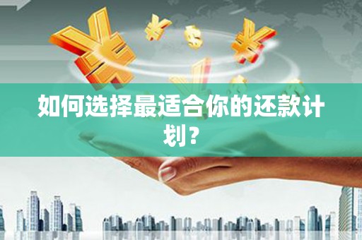 南化如何选择最适合你的还款计划？