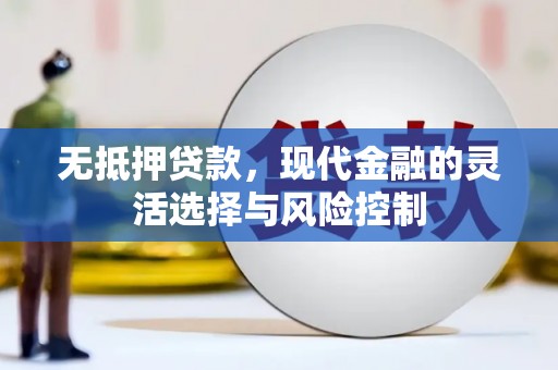 南化无抵押贷款，现代金融的灵活选择与风险控制