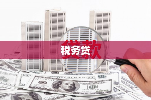 南化税务贷