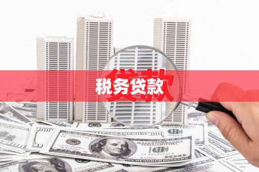 南化税务贷款