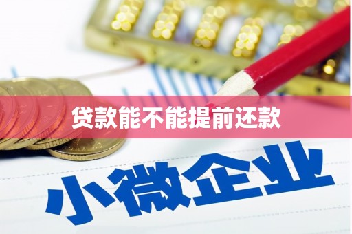 南化贷款能不能提前还款