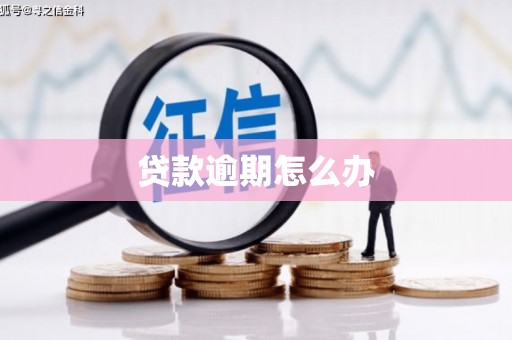 南化贷款逾期怎么办