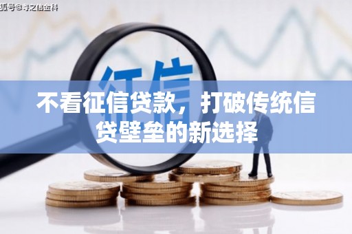 南化不看征信贷款，打破传统信贷壁垒的新选择