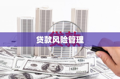 南化贷款风险管理