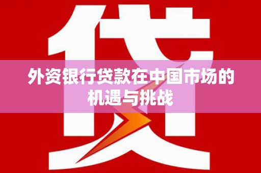 南化外资银行贷款在中国市场的机遇与挑战