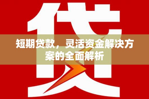 南化短期贷款，灵活资金解决方案的全面解析