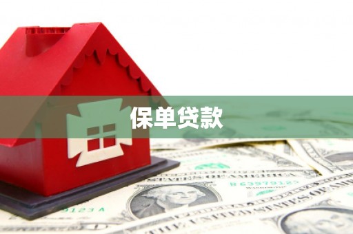 南化保单贷款
