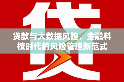 南化贷款与大数据风控，金融科技时代的风险管理新范式