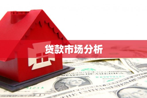 南化贷款市场分析