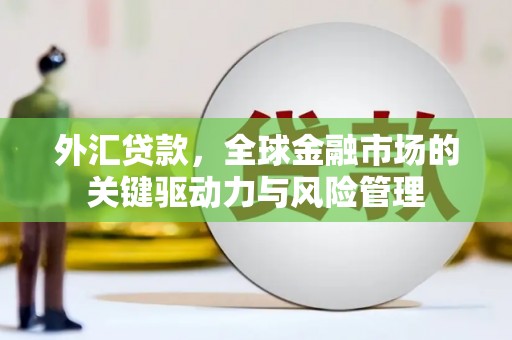 南化外汇贷款，全球金融市场的关键驱动力与风险管理