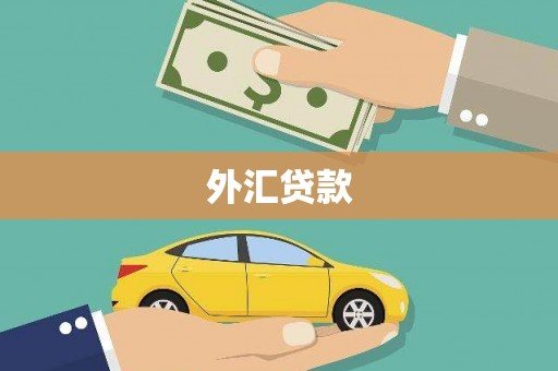 南化外汇贷款
