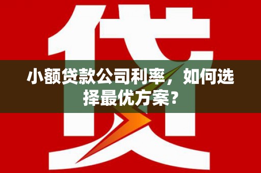南化小额贷款公司利率，如何选择最优方案？