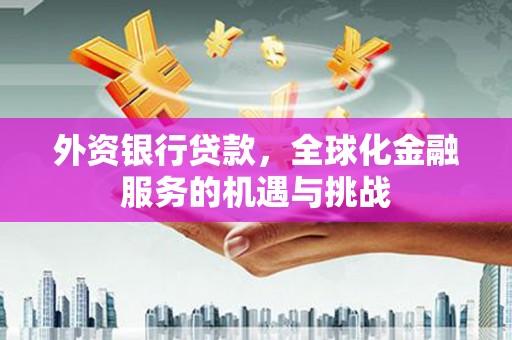 南化外资银行贷款，全球化金融服务的机遇与挑战