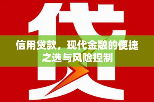 南化信用贷款，现代金融的便捷之选与风险控制