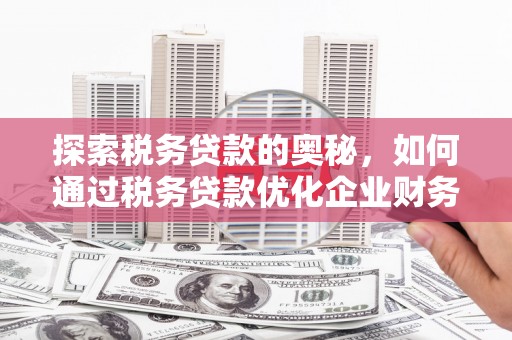 南化探索税务贷款的奥秘，如何通过税务贷款优化企业财务