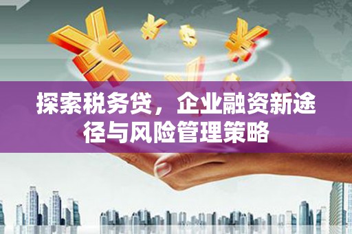南化探索税务贷，企业融资新途径与风险管理策略