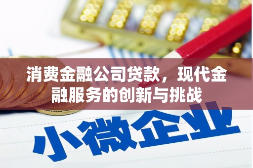 南化消费金融公司贷款，现代金融服务的创新与挑战