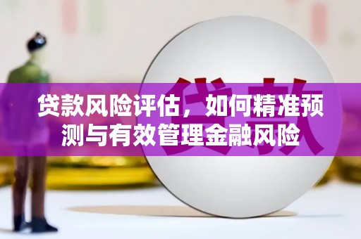 南化贷款风险评估，如何精准预测与有效管理金融风险