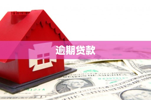 南化逾期贷款