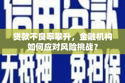 南化贷款不良率攀升，金融机构如何应对风险挑战？