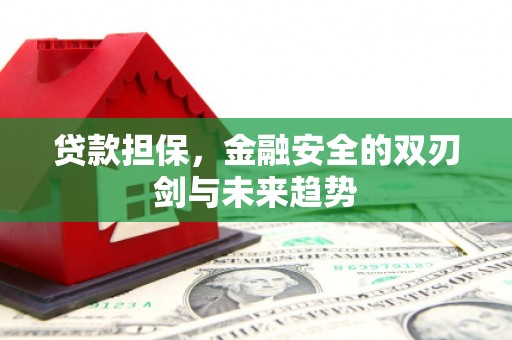 南化贷款担保，金融安全的双刃剑与未来趋势