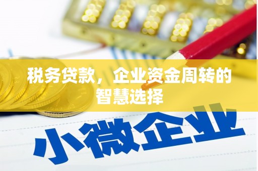 南化税务贷款，企业资金周转的智慧选择