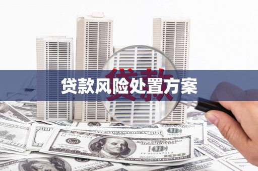 南化贷款风险处置方案