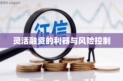 南化灵活融资的利器与风险控制