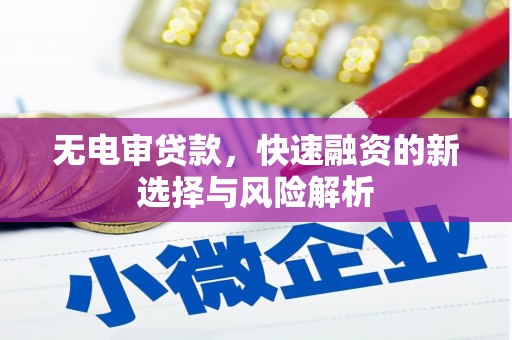 南化无电审贷款，快速融资的新选择与风险解析