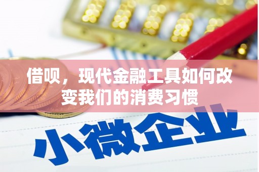 南化借呗，现代金融工具如何改变我们的消费习惯