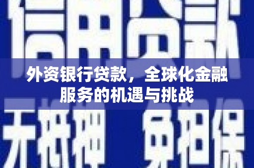南化外资银行贷款，全球化金融服务的机遇与挑战