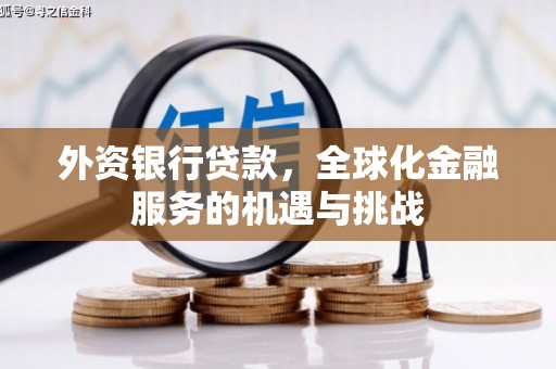 南化外资银行贷款，全球化金融服务的机遇与挑战