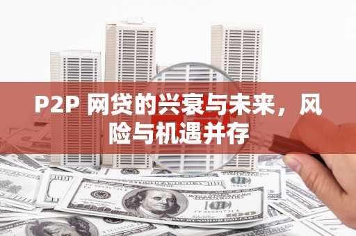 南化P2P 网贷的兴衰与未来，风险与机遇并存