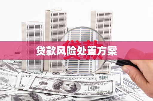 南化贷款风险处置方案