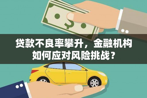 南化贷款不良率攀升，金融机构如何应对风险挑战？