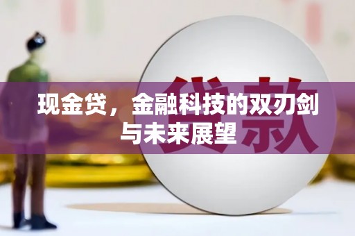 南化现金贷，金融科技的双刃剑与未来展望
