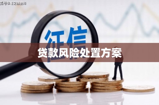 南化贷款风险处置方案