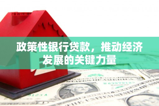 南化政策性银行贷款，推动经济发展的关键力量