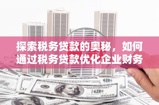 南化探索税务贷款的奥秘，如何通过税务贷款优化企业财务