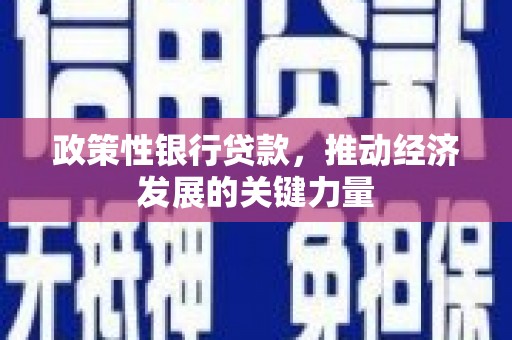 南化政策性银行贷款，推动经济发展的关键力量