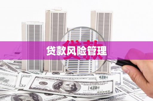 南化贷款风险管理