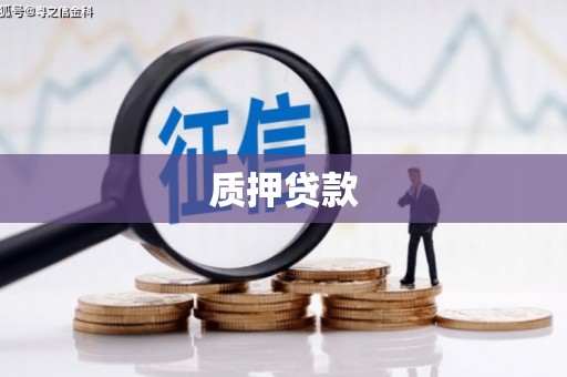 南化质押贷款