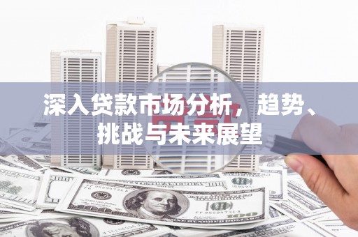 南化深入贷款市场分析，趋势、挑战与未来展望