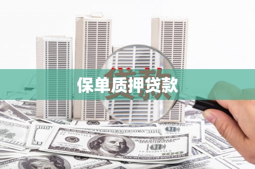 南化保单质押贷款