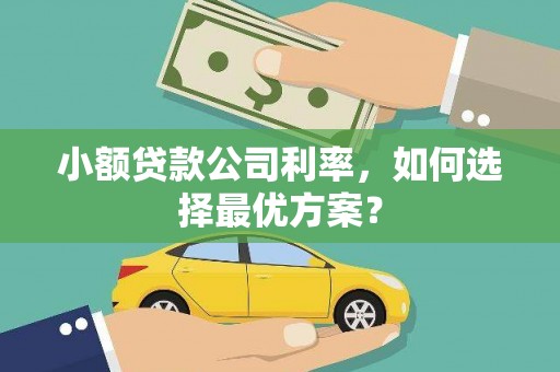 南化小额贷款公司利率，如何选择最优方案？